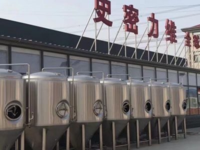 贵溪精酿啤酒设备厂—如何判断精酿啤酒设备的密封件需要更换？
